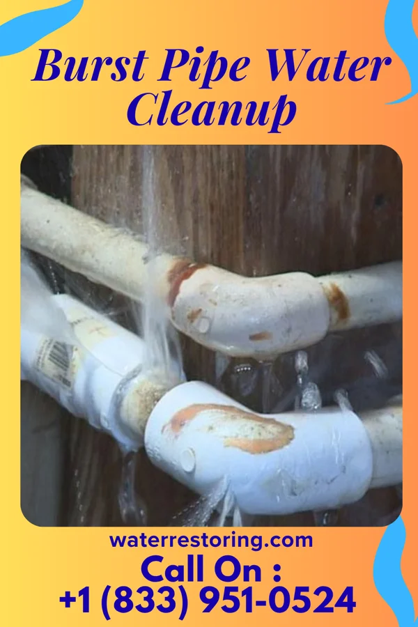 Burst Pipe Water Cleanup in Matoaca, VA