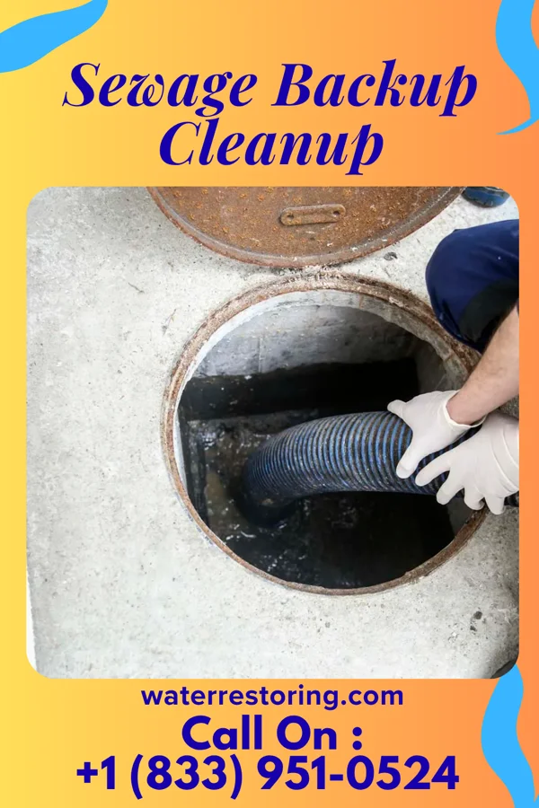 Sewage Backup Cleanup in Matoaca, VA