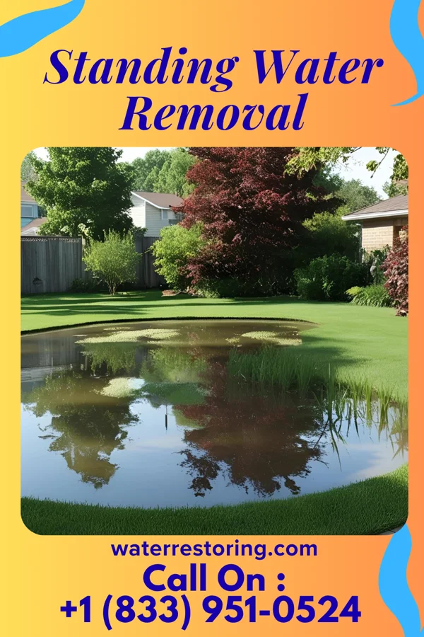 Standing Water Removal in Matoaca, VA